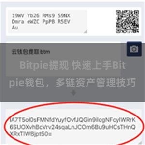 Bitpie提现 快速上手Bitpie钱包，多链资产管理技巧