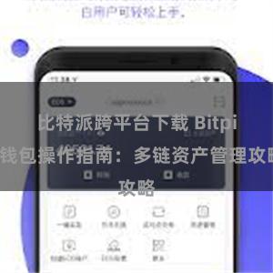 比特派跨平台下载 Bitpie钱包操作指南：多链资产管理攻略