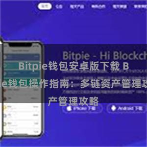 Bitpie钱包安卓版下载 Bitpie钱包操作指南：多链资产管理攻略