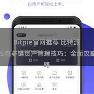 Bitpie官网推荐 比特派钱包多链资产管理技巧：全面攻略