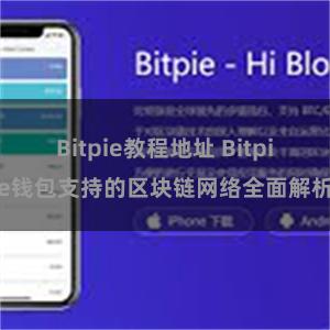 Bitpie教程地址 Bitpie钱包支持的区块链网络全面解析