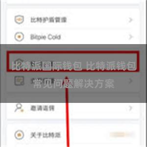 比特派国际钱包 比特派钱包常见问题解决方案