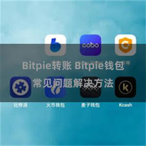 Bitpie转账 Bitpie钱包常见问题解决方法