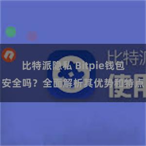 比特派隐私 Bitpie钱包安全吗？全面解析其优势和特点