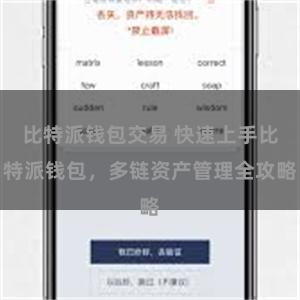 比特派钱包交易 快速上手比特派钱包，多链资产管理全攻略