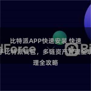 比特派APP快速安装 快速上手比特派钱包，多链资产管理全攻略