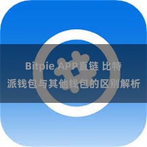 Bitpie APP直链 比特派钱包与其他钱包的区别解析