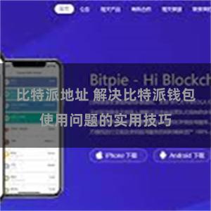 比特派地址 解决比特派钱包使用问题的实用技巧