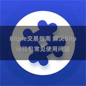 Bitpie交易指南 解决Bitpie钱包常见使用问题