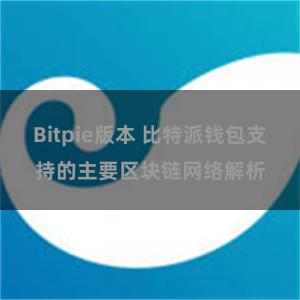 Bitpie版本 比特派钱包支持的主要区块链网络解析