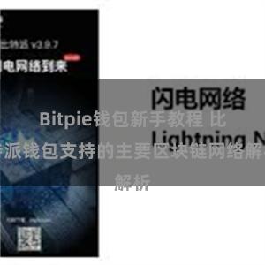 Bitpie钱包新手教程 比特派钱包支持的主要区块链网络解析