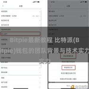 Bitpie最新教程 比特派(Bitpie)钱包的团队背景与技术实力