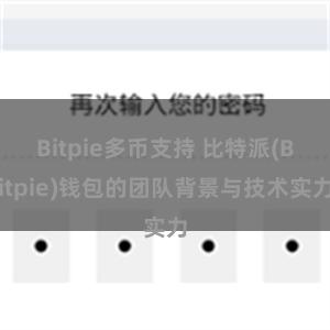 Bitpie多币支持 比特派(Bitpie)钱包的团队背景与技术实力