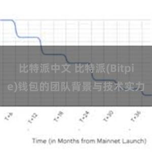 比特派中文 比特派(Bitpie)钱包的团队背景与技术实力