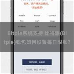 Bitpie系统支持 比特派(Bitpie)钱包如何设置每日限额？