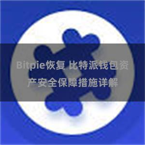 Bitpie恢复 比特派钱包资产安全保障措施详解