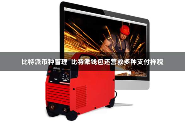 比特派币种管理  比特派钱包还营救多种支付样貌