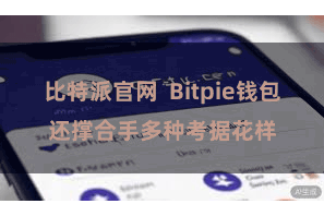 比特派官网  Bitpie钱包还撑合手多种考据花样