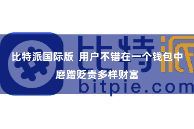 比特派国际版  用户不错在一个钱包中磨蹭贬责多样财富