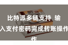 比特派多链支持  输入支付密码完成转账操作