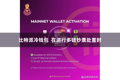 比特派冷钱包  在进行多链钞票处置时