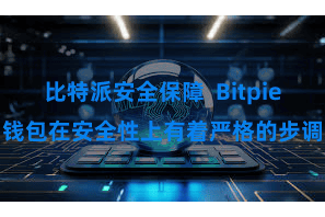 比特派安全保障  Bitpie钱包在安全性上有着严格的步调
